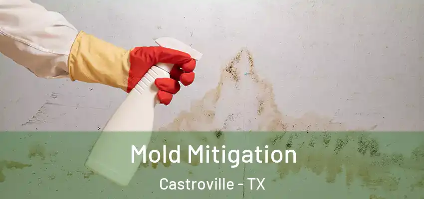  Mold Mitigation Castroville - TX