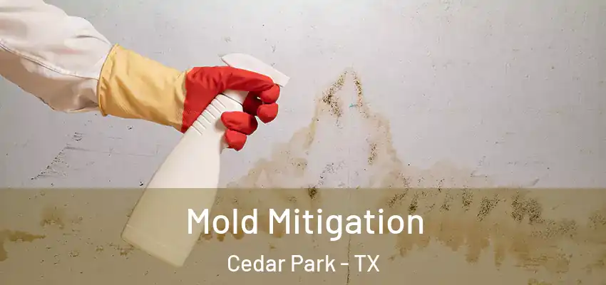  Mold Mitigation Cedar Park - TX