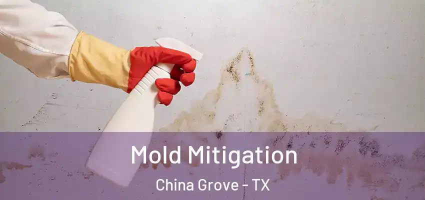  Mold Mitigation China Grove - TX