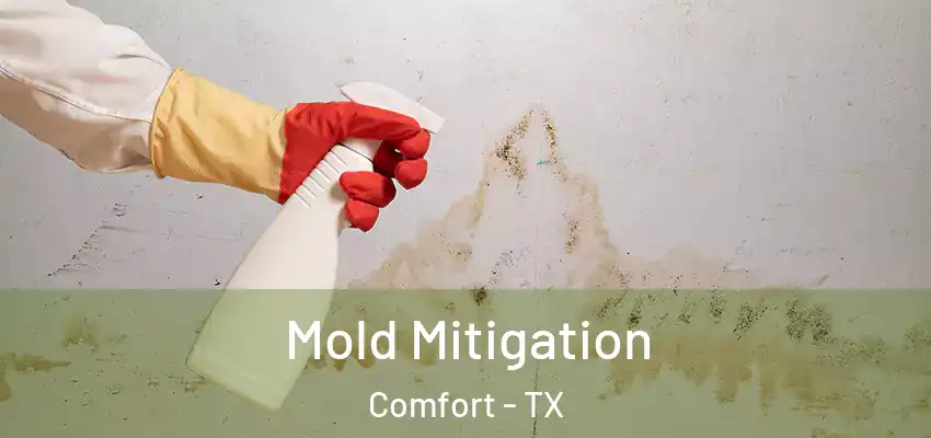 Mold Mitigation Comfort - TX