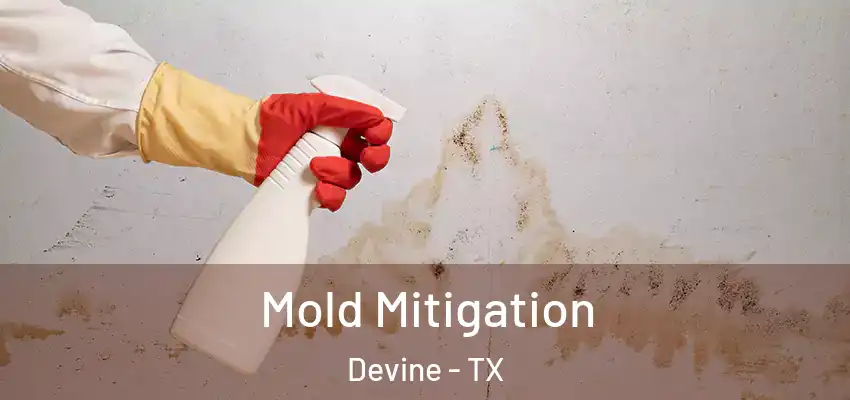  Mold Mitigation Devine - TX