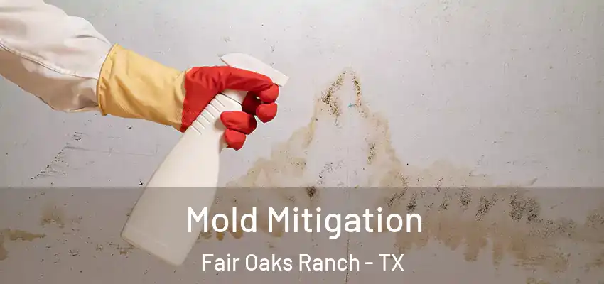  Mold Mitigation Fair Oaks Ranch - TX