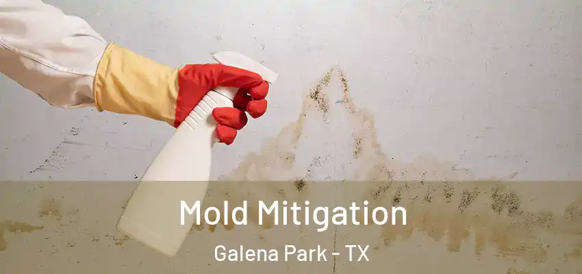  Mold Mitigation Galena Park - TX