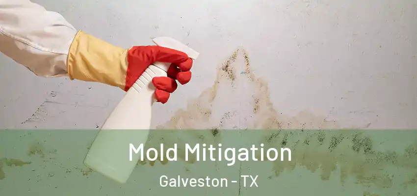  Mold Mitigation Galveston - TX