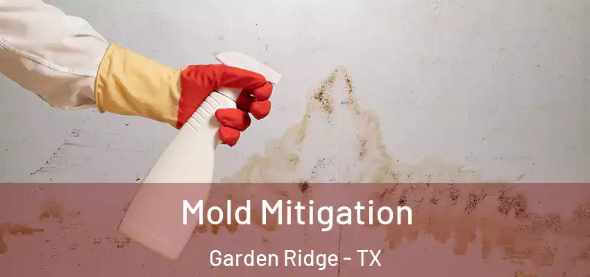  Mold Mitigation Garden Ridge - TX