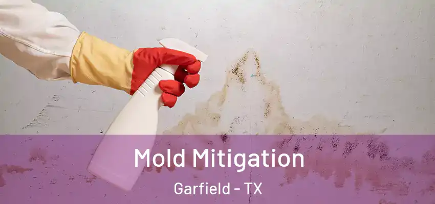  Mold Mitigation Garfield - TX