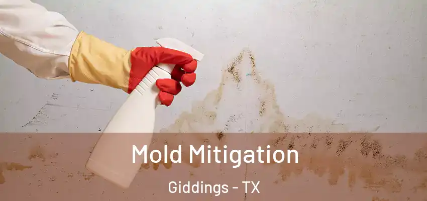  Mold Mitigation Giddings - TX