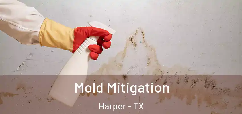  Mold Mitigation Harper - TX