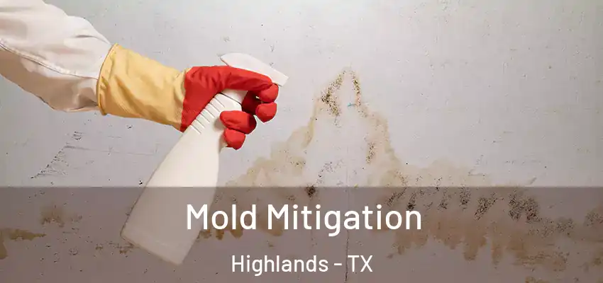  Mold Mitigation Highlands - TX