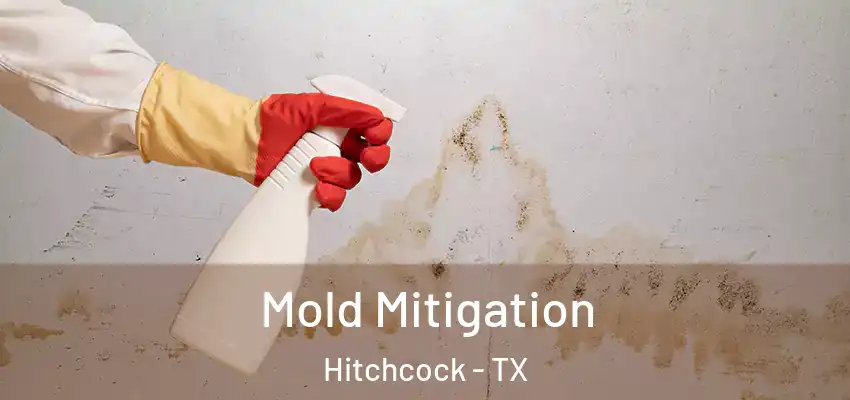  Mold Mitigation Hitchcock - TX