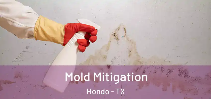  Mold Mitigation Hondo - TX