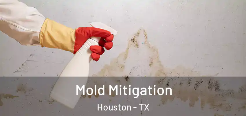  Mold Mitigation Houston - TX