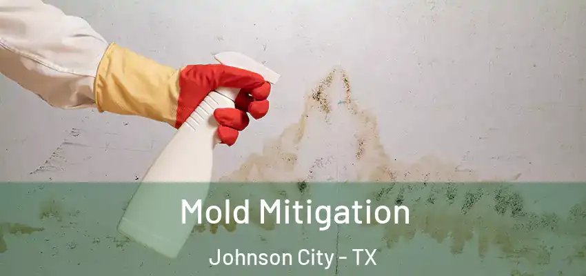  Mold Mitigation Johnson City - TX