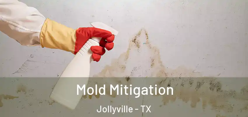  Mold Mitigation Jollyville - TX