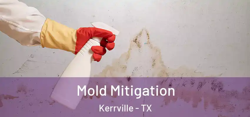  Mold Mitigation Kerrville - TX