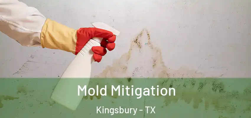  Mold Mitigation Kingsbury - TX