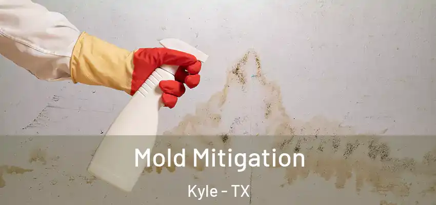  Mold Mitigation Kyle - TX