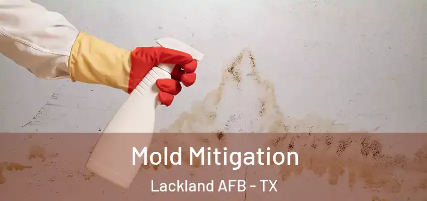  Mold Mitigation Lackland AFB - TX