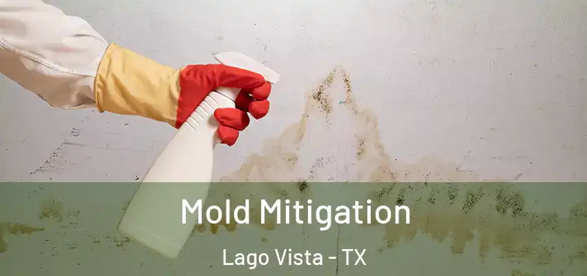  Mold Mitigation Lago Vista - TX