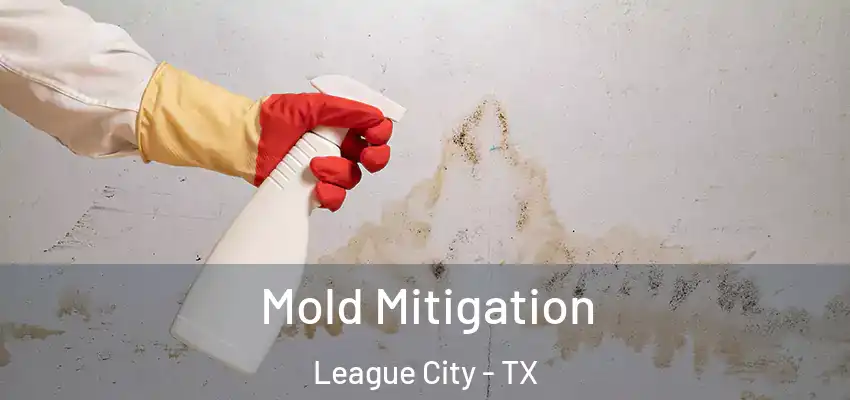  Mold Mitigation League City - TX
