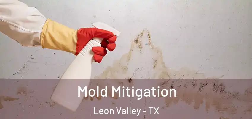  Mold Mitigation Leon Valley - TX
