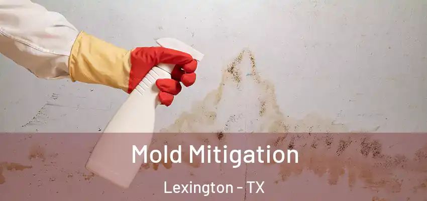  Mold Mitigation Lexington - TX
