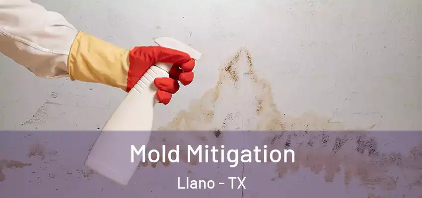  Mold Mitigation Llano - TX