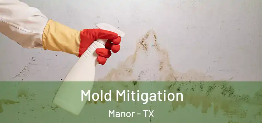  Mold Mitigation Manor - TX
