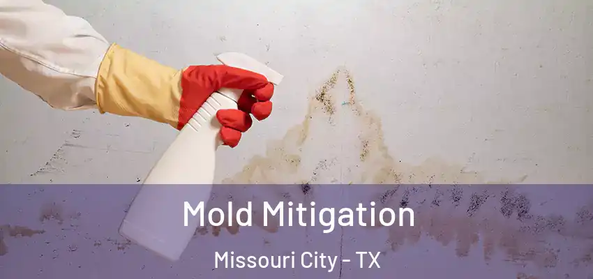  Mold Mitigation Missouri City - TX