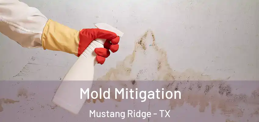 Mold Mitigation Mustang Ridge - TX