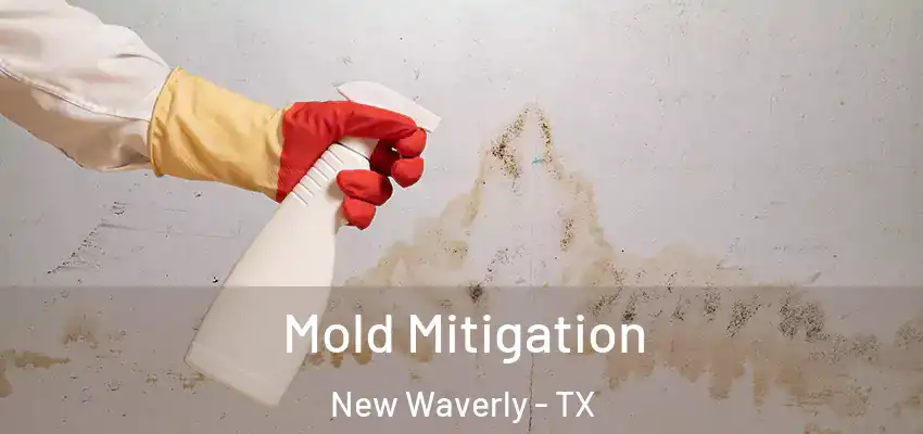  Mold Mitigation New Waverly - TX