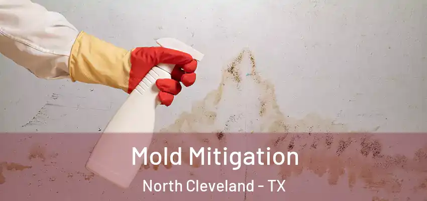  Mold Mitigation North Cleveland - TX