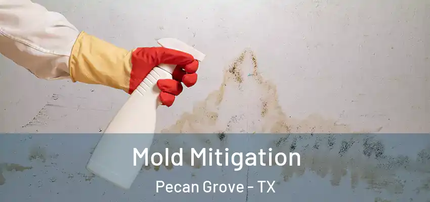  Mold Mitigation Pecan Grove - TX