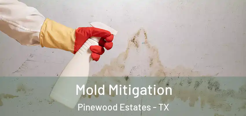  Mold Mitigation Pinewood Estates - TX