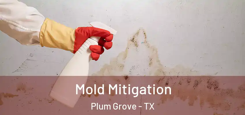  Mold Mitigation Plum Grove - TX