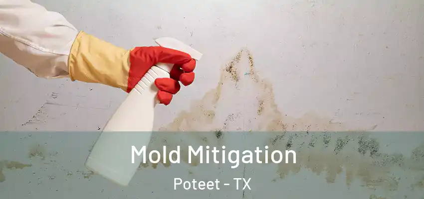 Mold Mitigation Poteet - TX