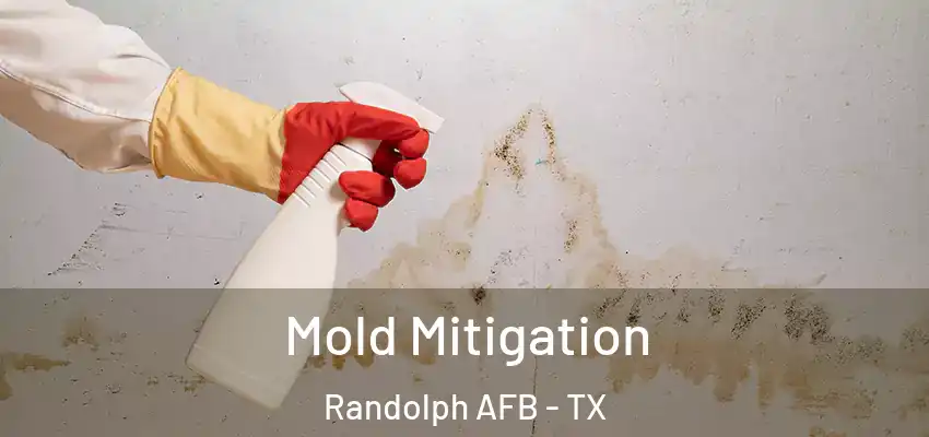  Mold Mitigation Randolph AFB - TX