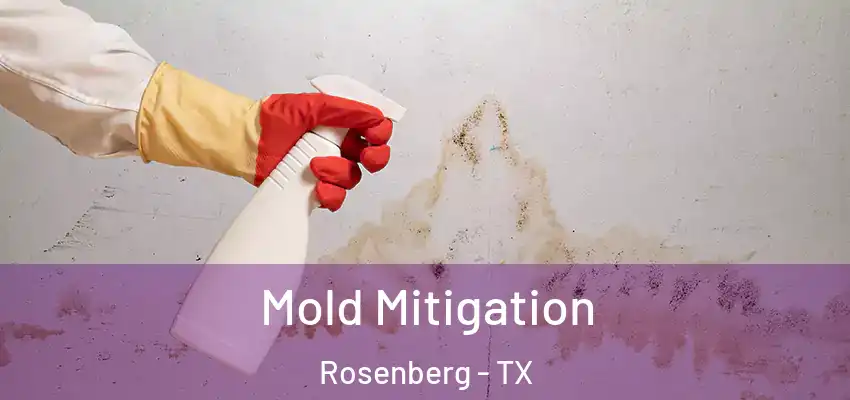  Mold Mitigation Rosenberg - TX
