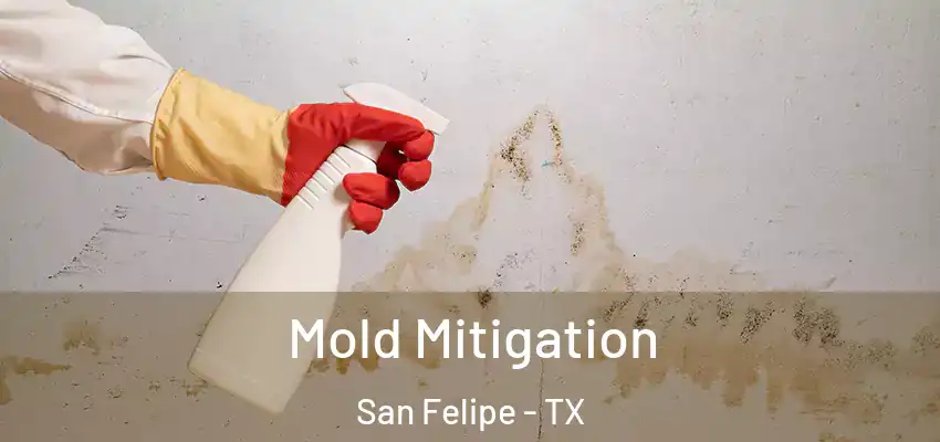  Mold Mitigation San Felipe - TX