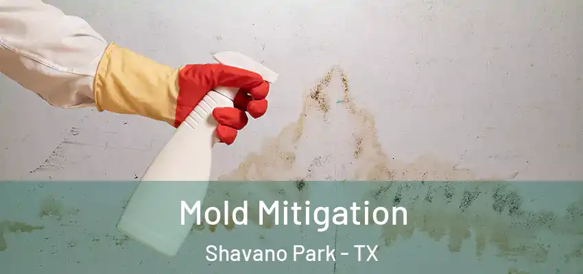  Mold Mitigation Shavano Park - TX