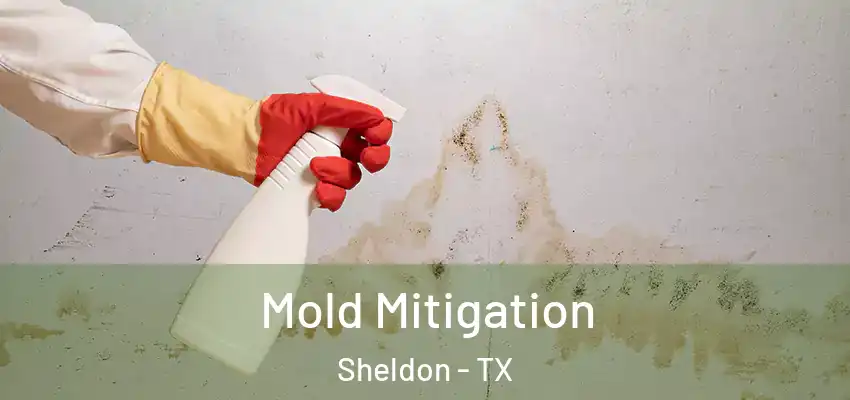  Mold Mitigation Sheldon - TX