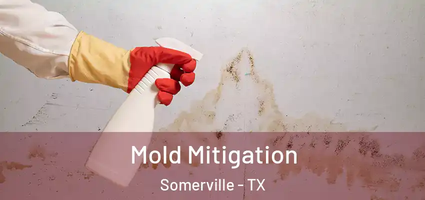  Mold Mitigation Somerville - TX