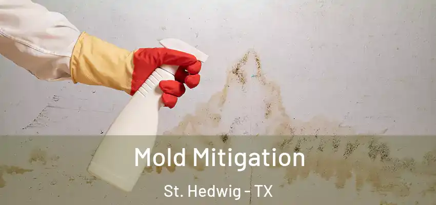  Mold Mitigation St. Hedwig - TX