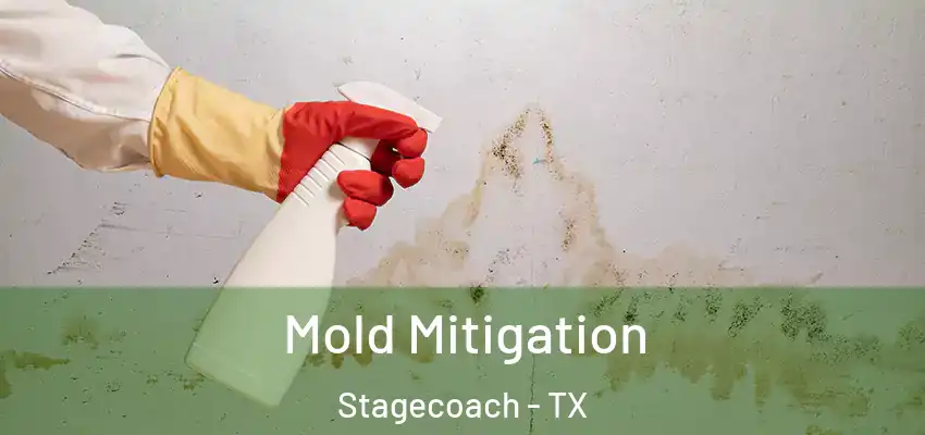  Mold Mitigation Stagecoach - TX