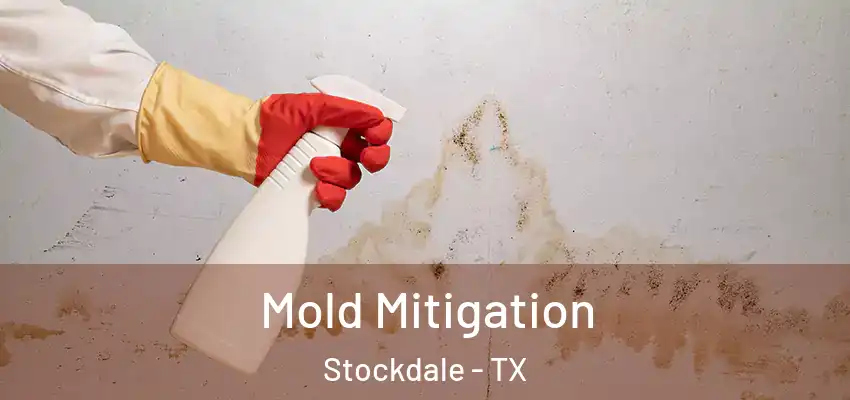  Mold Mitigation Stockdale - TX