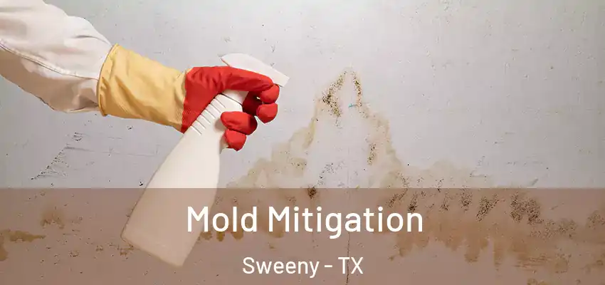  Mold Mitigation Sweeny - TX