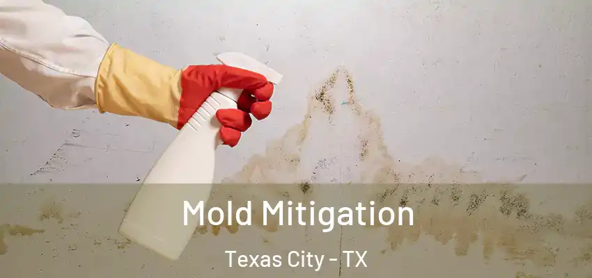  Mold Mitigation Texas City - TX