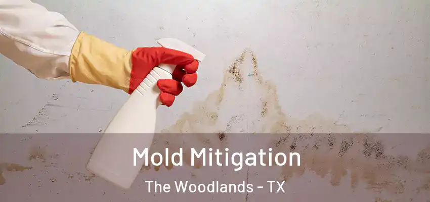  Mold Mitigation The Woodlands - TX