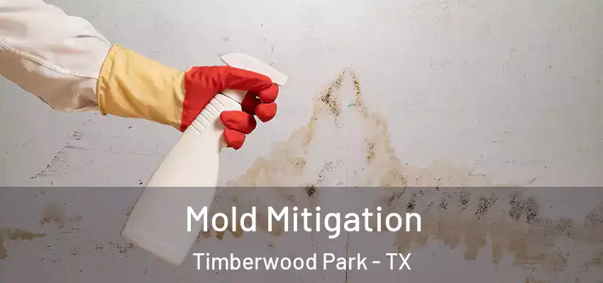  Mold Mitigation Timberwood Park - TX