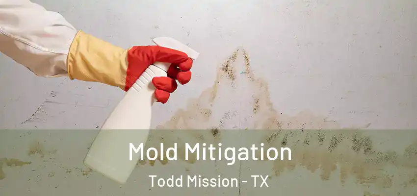  Mold Mitigation Todd Mission - TX
